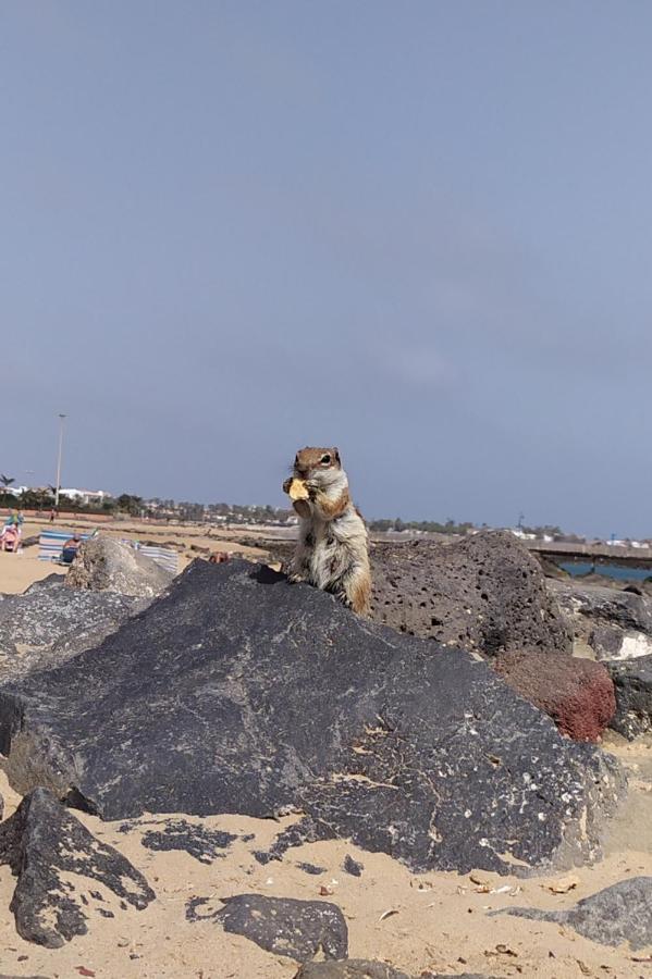 קוסטה דה אנטיגואה Holiday Rent Fuerteventura מראה חיצוני תמונה